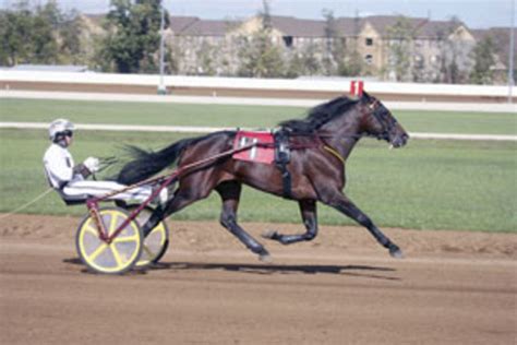 Standardbred Canada Entries. Canada Goose Holdings News. 